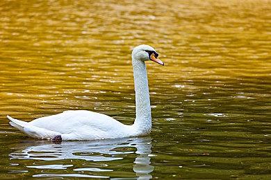 《战神：诸神黄昏》分级完成 游戏有望更早发售