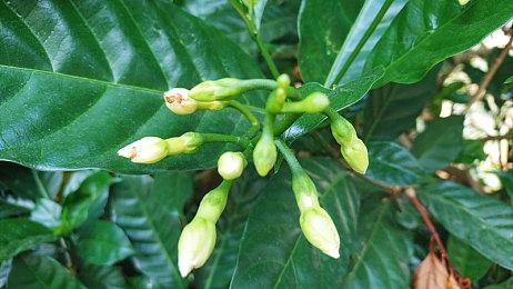 《女神异闻录3 Reload》实机演示公开 明年初发售